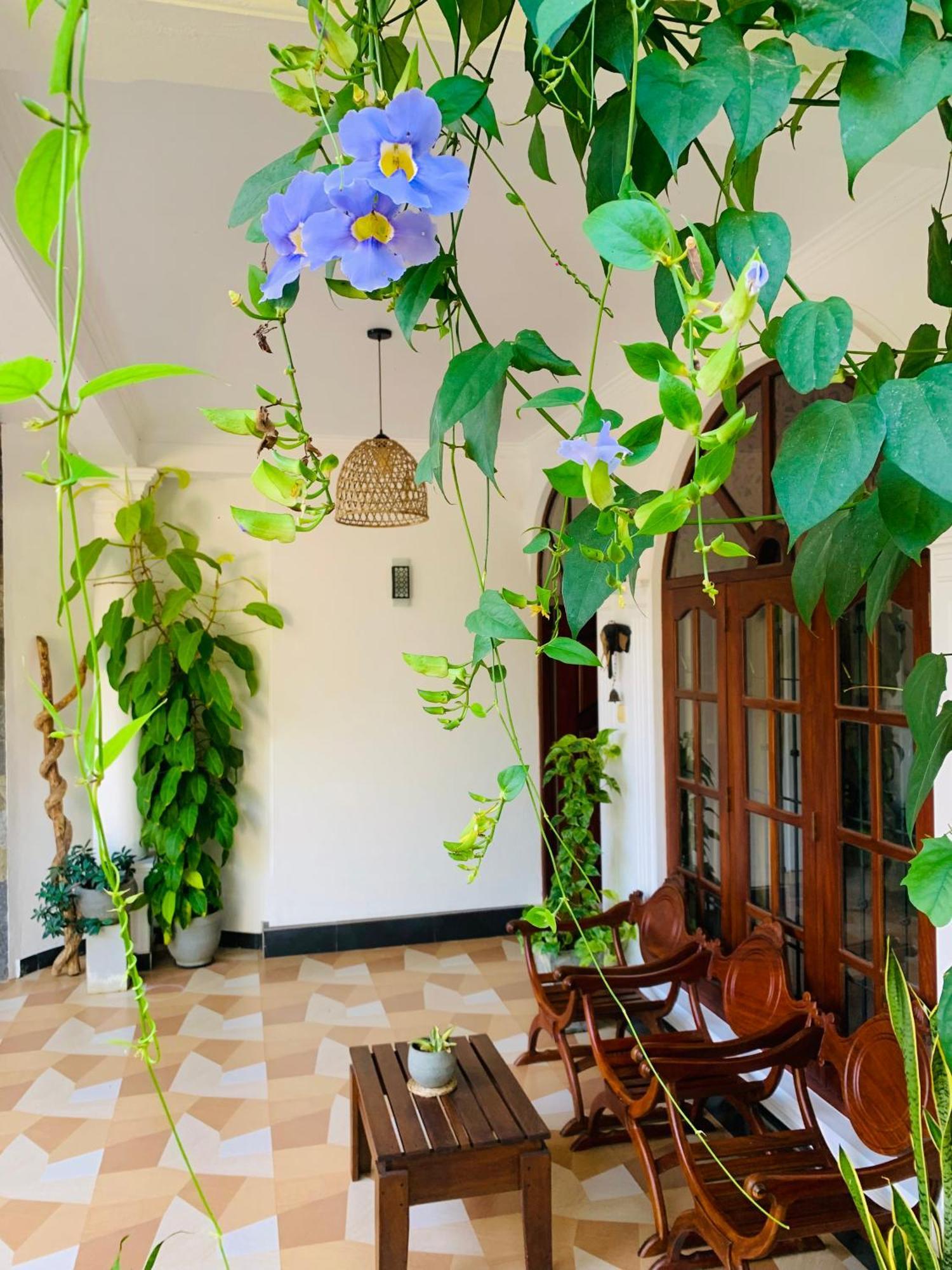 Breeze Bay Villa Диквела Екстериор снимка