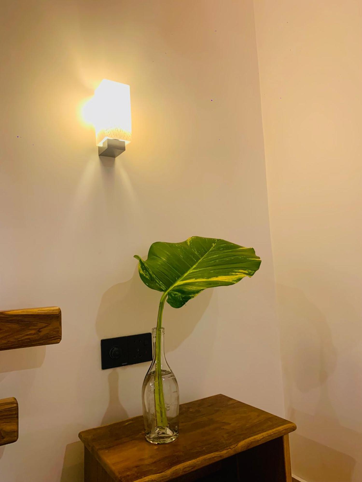 Breeze Bay Villa Диквела Екстериор снимка